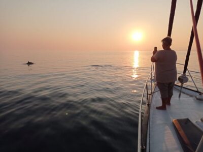 Fuengirola: Dolphin-Watching Sailing Tour with Drinks - Dolphin-watching without a guarantee: how to think about it (and win anyway)