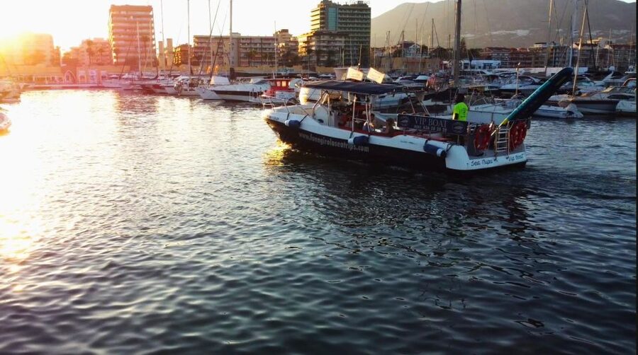 Fuengirola: Fantastic Dolphin Watching Yacht Tour with Drink - Practical tips to improve your odds and enjoy the ride