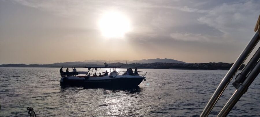 Fuengirola: Fantastic Dolphin Watching Yacht Tour with Drink - How the skipper searches for dolphins on the Costa del Sol