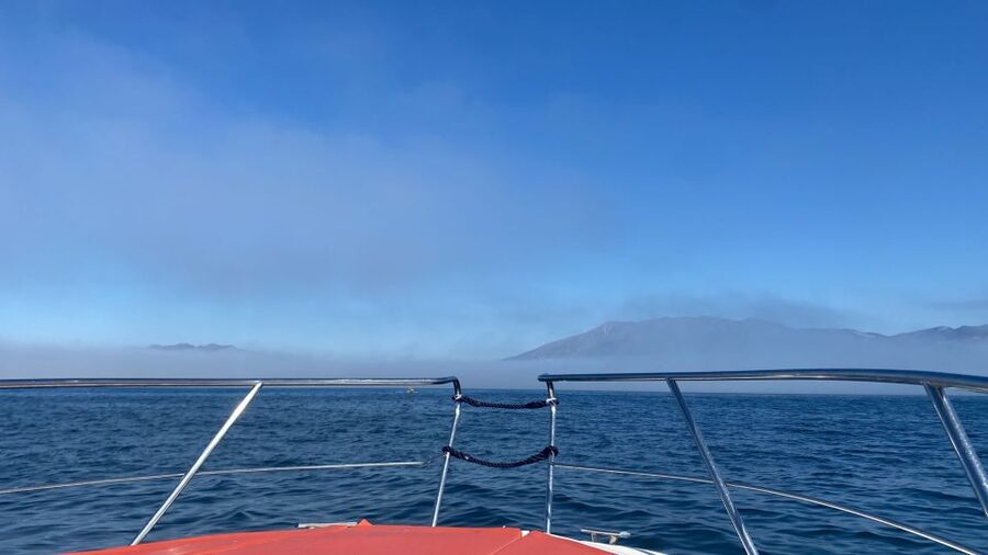 Fuengirola: Fantastic Dolphin Watching Yacht Tour with Drink - What you’ll see: coastline photos that feel like a different vacation