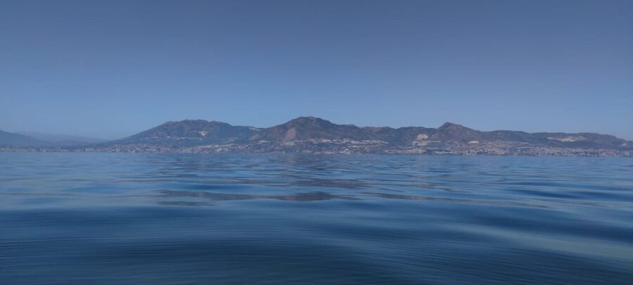 Fuengirola: Fantastic Dolphin Watching Yacht Tour with Drink - Who this yacht tour is best for
