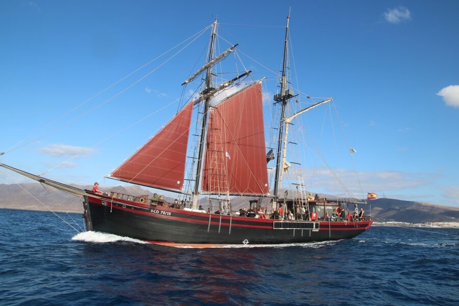 Fuerteventura: 4-Hour Pirate Sailing Adventure - What to bring and what to ask before you go