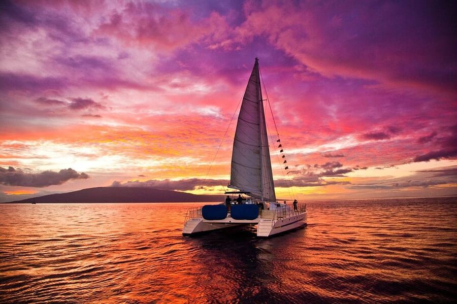 Fuerteventura : Catamaran excursion to Lobos Island - Onboard Drinks and Traditional Paella: Included Comfort Food