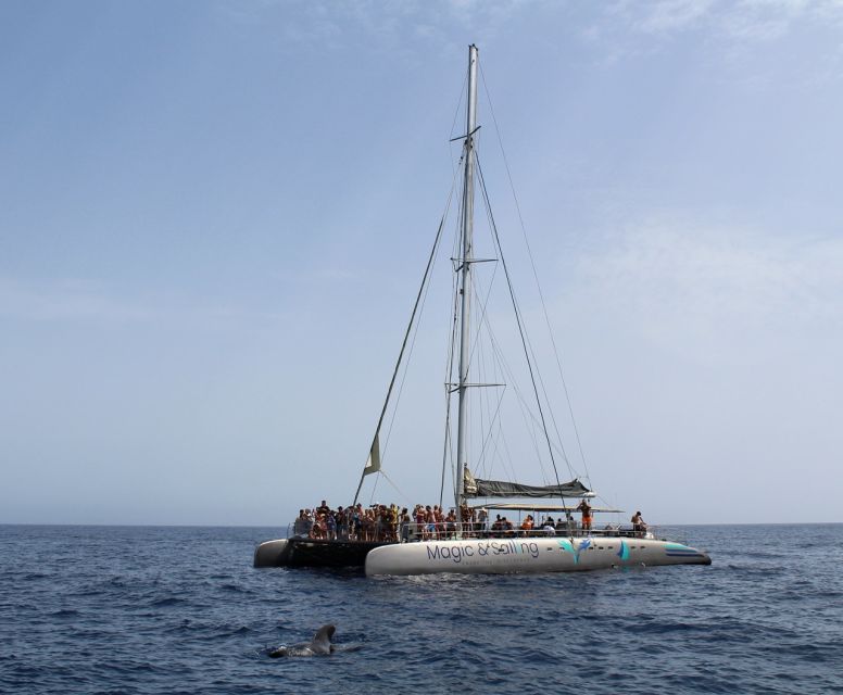 Fuerteventura: Magic Catamaran Trip with Food and Drinks - Where you’ll be picked up and dropped off (so you don’t lose time)