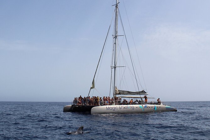 Fuerteventura: Magic Select Catamaran Trip with Food & Drinks - The Crew Energy Makes the Trip Feel Longer (In a Good Way)