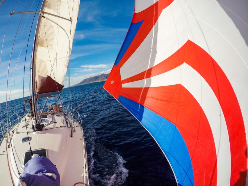 Fuerteventura: Sailing with Snorkeling and Dolphin Watching - The swim and snorkeling break: what you should expect