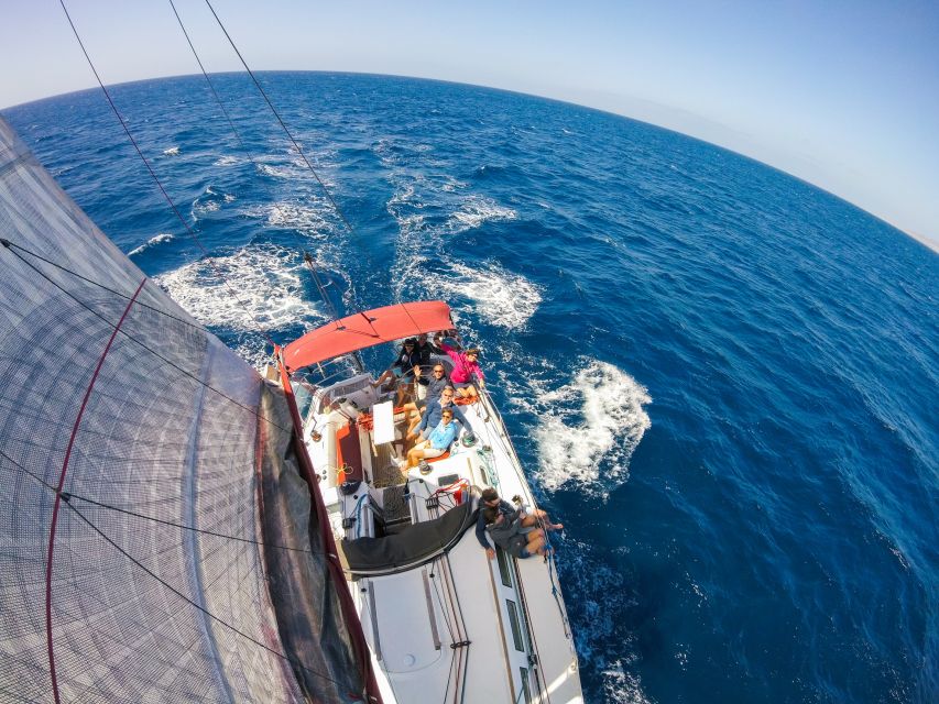 Fuerteventura: Sailing with Snorkeling and Dolphin Watching - The manta ray viewing stop: what you’re really paying for