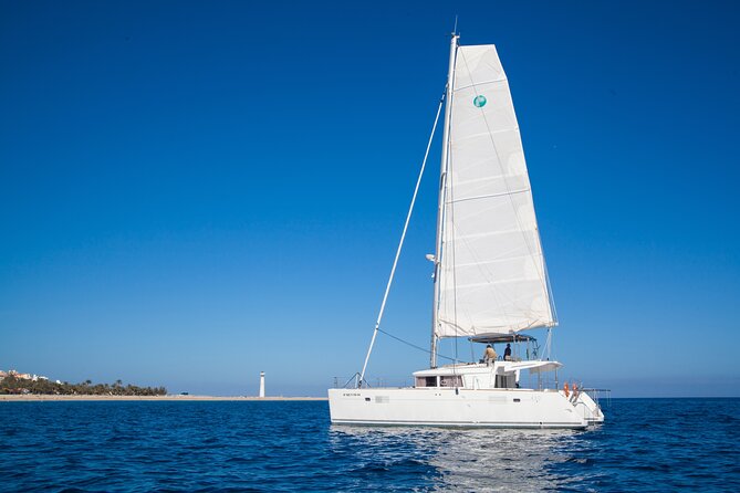 Fuerteventura: Small-Group Magic Deluxe Catamaran Cruise - Sailing the volcanic south coast: sea views and wildlife odds