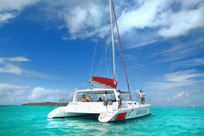 Full-Day Catamaran Cruise to Île aux Cerfs with BBQ Lunch - Logistics you should plan for: no pickup, mobile ticket, and a 31-person cap