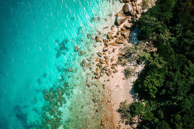 Full-Day Great Barrier Reef Sailing Trip from Cairns - Crew, Captain, and the In-Water Guide: Safety and Reef Spotting