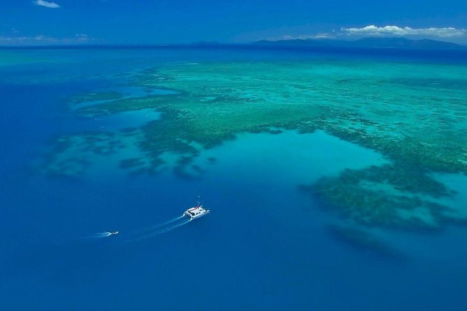 Full-Day Great Barrier Reef Sailing Trip from Cairns - Sea Conditions Reality Check: This Boat Can Feel Choppy
