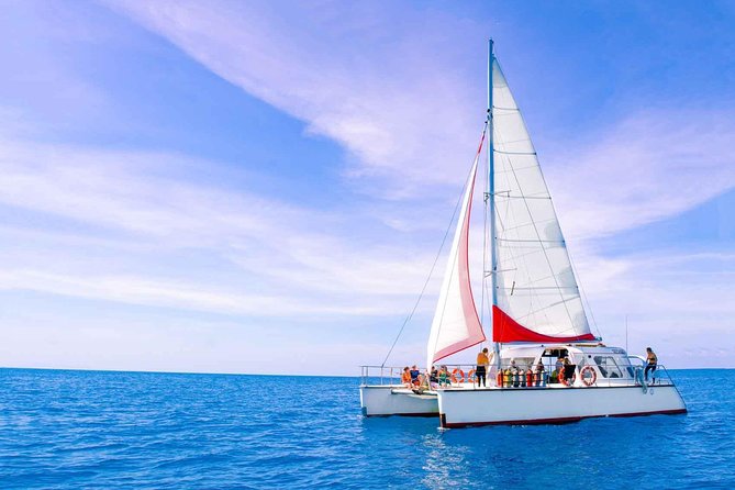 Full-Day Great Barrier Reef Sailing Trip from Cairns - Price vs Value: Why $179.31 Can Be Fair Here
