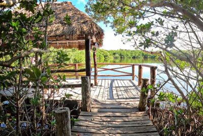 Full-Day Isla Contoy Sailing Nature Experience in Mujeres - El Farito snorkel: short boat time, provided gear, real payoff