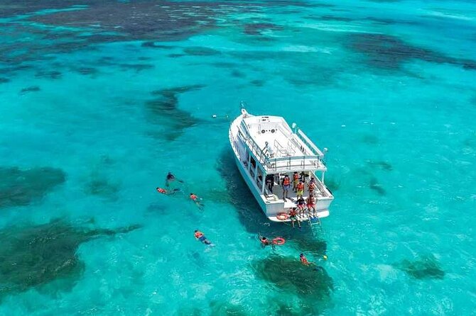 Full-Day Isla Contoy Sailing Nature Experience in Mujeres - Who this tour suits best (and who should rethink it)