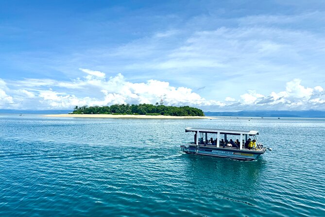Full Day Low Isles Sailing & Snorkelling Cruise from Port Douglas - The EV Discovery glass-bottom boat: seeing coral without the full exertion