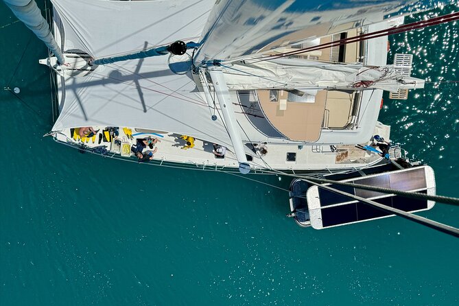 Full Day Low Isles Sailing & Snorkelling Cruise from Port Douglas - Price and value: is $243.86 worth it for your day?