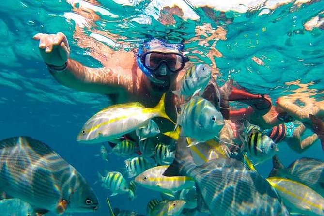 Full-Day Luxurious Catamaran Adventure - Cancún to Isla Mujeres - The Spinnaker Moment: A Weather-Dependent Thrill