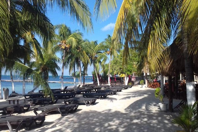 Full-Day Luxurious Catamaran Adventure - Cancún to Isla Mujeres - The Most Common Watch-Outs (So Your Day Stays Fun)
