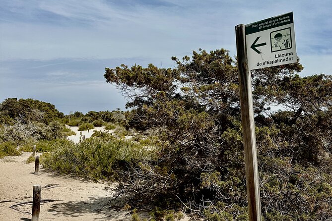 Full-Day Private Sailboat Tour of Ibiza and Formentera - The meeting point: getting to Cala Jondal smoothly
