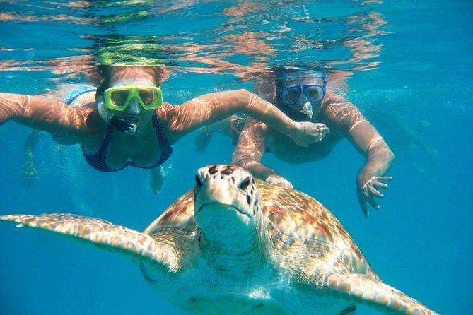 Full Day Sail with Max Charters - Snorkeling stops: what you can expect at St John and Lovango-style reefs