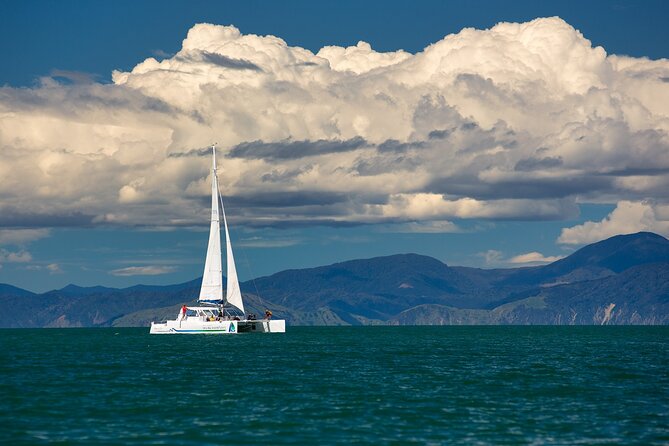 Full-Day Sailing Adventure in the Abel Tasman National Park - Anchorage Beach lunch break: picnic time plus space to reset
