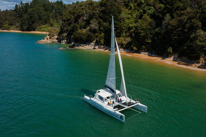 Full-Day Sailing Adventure in the Abel Tasman National Park - Back on the water: sailing conditions and the afternoon sea breeze