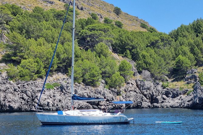 Full-day sailing excursion along the coast - Weather, timing, and planning your day like a pro