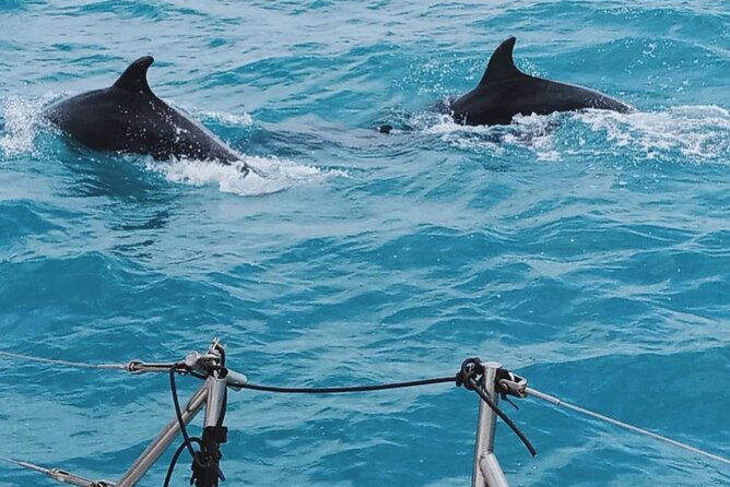 Full Day Sailing Tour Catania-Acitrezza - Snorkeling gear and water time: what to expect from the sea day