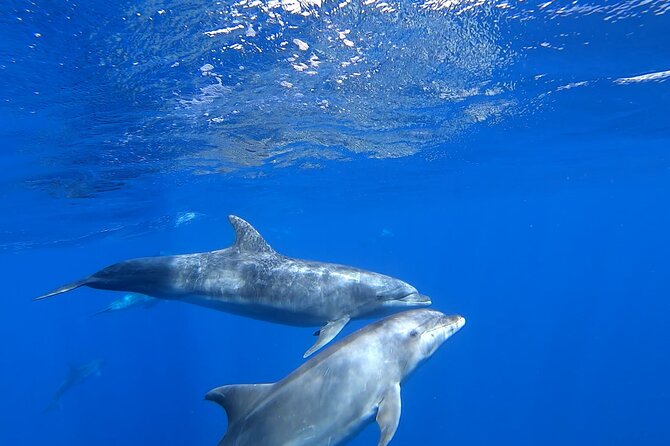 Full day Sailing yacht - Beautiful day on the Atlantic Ocean - Lunch on board: the kind that makes sea days easy