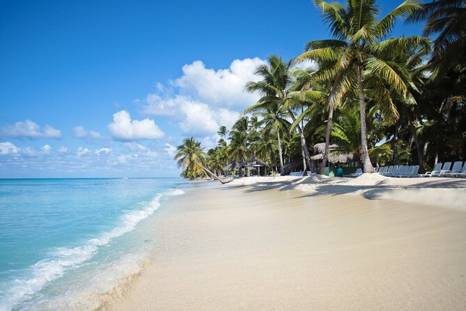 Full-Day Tour to Saona Island Sailing with Lunch and Beverages - Quick hits before you go