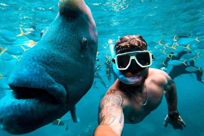 Full-Day Whitsunday Sail and Snorkel Adventure with Lunch - Snorkeling With Stinger Suits: What’s Included, What to Bring, and How to Maximize Visibility