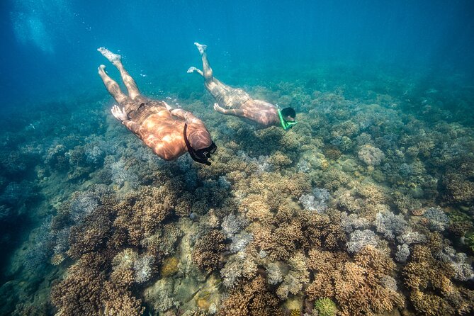 Full-Day Whitsunday Sail and Snorkel Adventure with Lunch - Timing Reality: The Long Sail Factor and How to Decide