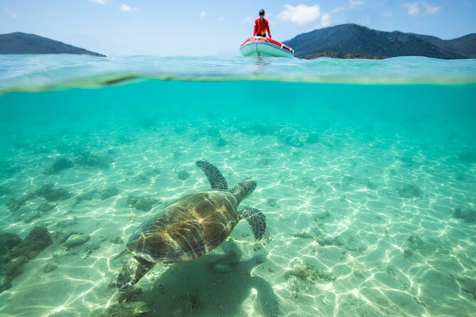 Full-Day Whitsunday Sail and Snorkel Adventure with Lunch - Guide and Crew Vibe: Why People Keep Mentioning the Same Names
