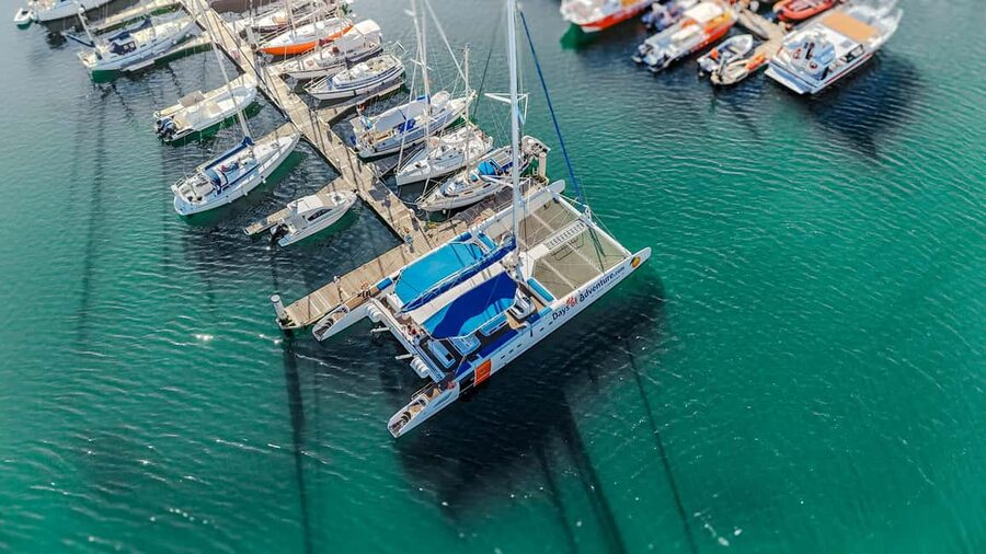 FUN & CHILL – GOLDEN COAST SAILING TOUR - Bar aboard and snack reality for a 3-hour outing