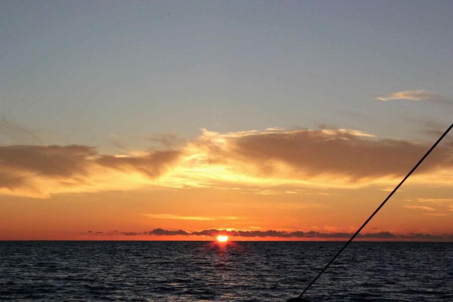 Funchal: Cabo Girão Sunset Catamaran Tour - Wildlife Moments: Pilot Whales, Dolphins, and Flying Fish