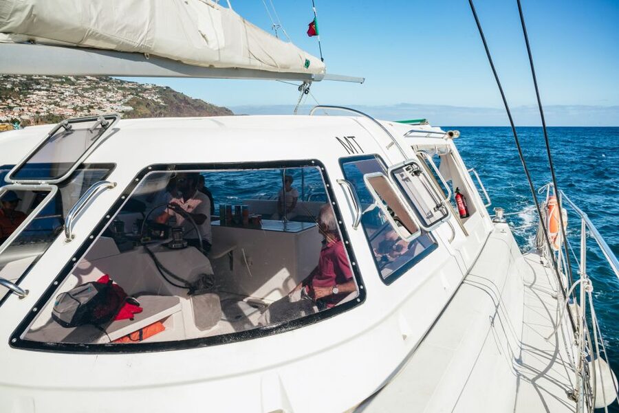 Funchal: Dolphin and Whale Watching by Luxury Catamaran - Key things that make this cruise work