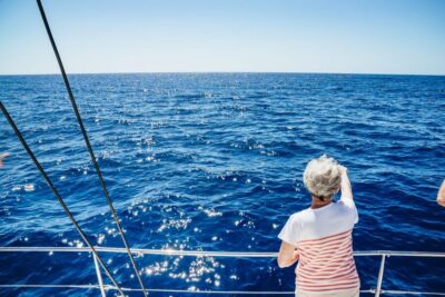Funchal: Dolphin and Whale Watching by Luxury Catamaran - Sailing out of Funchal Bay with wildlife in the foreground