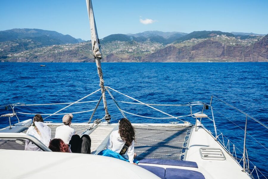 Funchal: Dolphin and Whale Watching by Luxury Catamaran - Swimming and snorkeling: what you get when the water stop is included