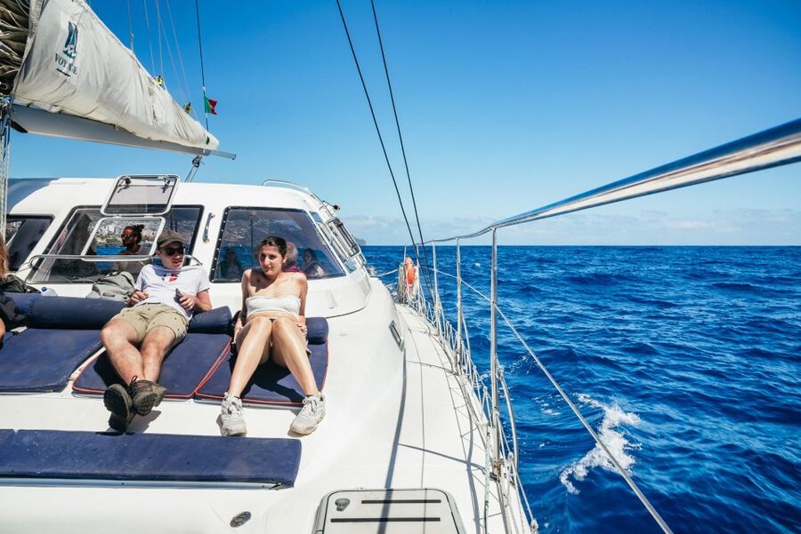 Funchal: Dolphin and Whale Watching by Luxury Catamaran - How long it takes and how to fit it into your Madeira day
