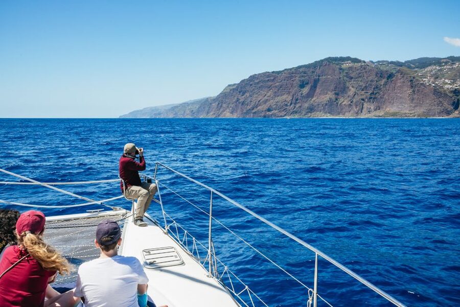 Funchal: Dolphin and Whale Watching by Luxury Catamaran - Rules that keep the experience calm (and why you should care)