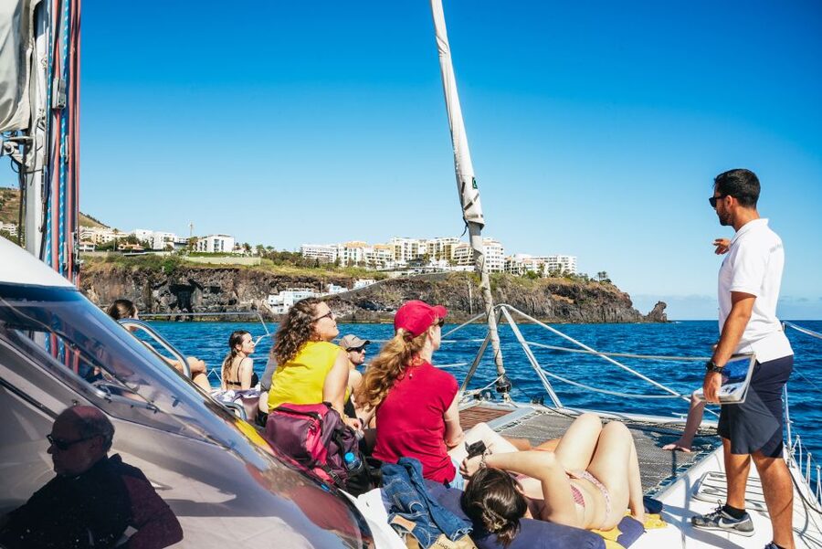 Funchal: Dolphin and Whale Watching by Luxury Catamaran - Price and value: what $47 buys you beyond the animal count