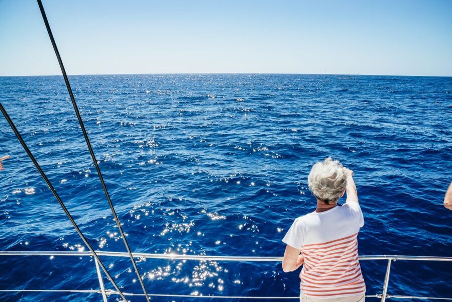 Funchal: Dolphin and Whale Watching by Luxury Catamaran - Sailing out of Funchal Bay with wildlife in the foreground