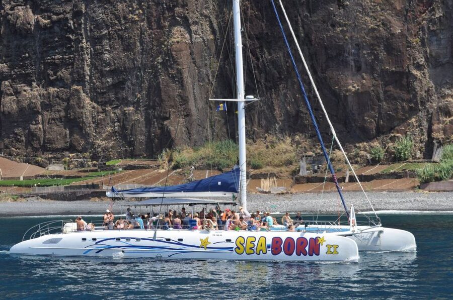 Funchal: Dolphin and Whale Watching Catamaran Cruise - Onboard comfort: catamaran layout, space, and the “real” experience