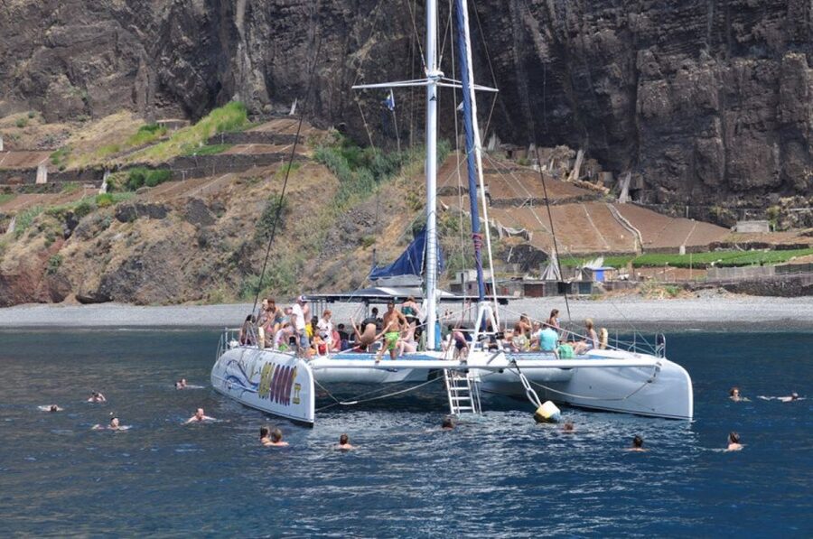 Funchal: Dolphin and Whale Watching Catamaran Cruise - Drinks on the bar: worth it, but don’t forget the cruise purpose