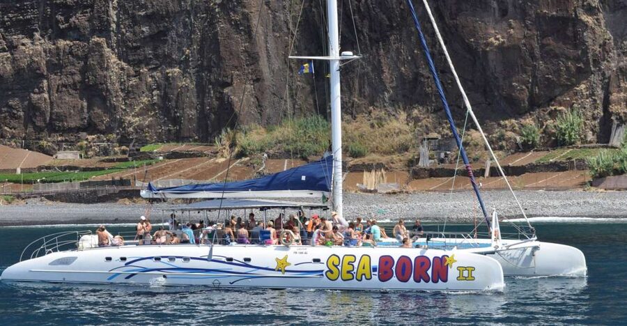Funchal: Dolphin and Whale Watching Catamaran Cruise - Seasickness and wind: planning for the less-predictable part