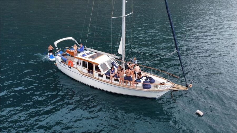 Funchal: Dolphin and Whale Watching Sailing Trip - Madeira from the water: why a dolphin and whale sailing trip works