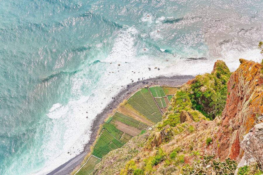 Funchal: Dolphin and Whale Watching Sailing Trip - Cabo Girão: the swim and snorkel stop that makes the day real