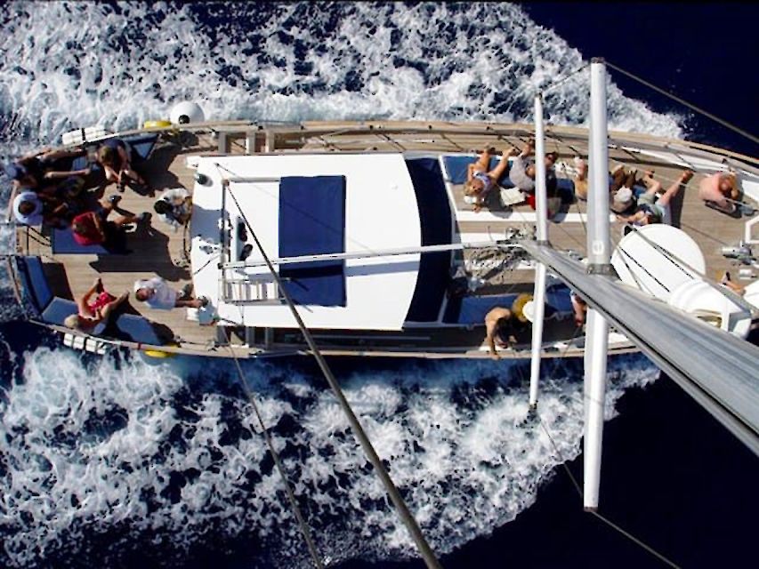 Funchal: Dolphin and Whale Watching Sailing Trip - Who should book this tour, and who might not love it