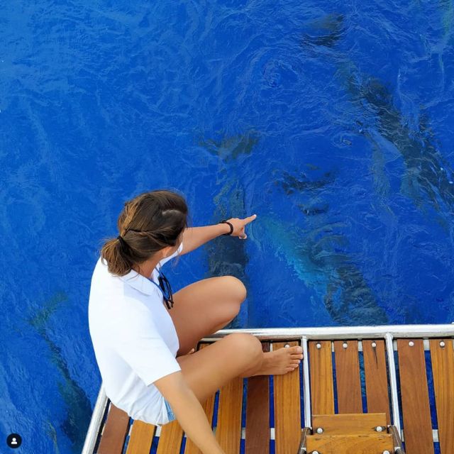 Funchal: Dolphin and Whale Watching Sailing Trip - Out past the marina: how the wildlife search is set up