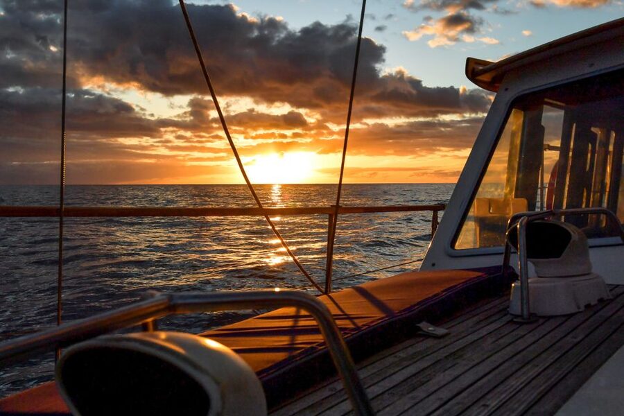 Funchal: Dolphin and Whale Watching Sunset Sailing Tour - Key Takeaways Before You Go